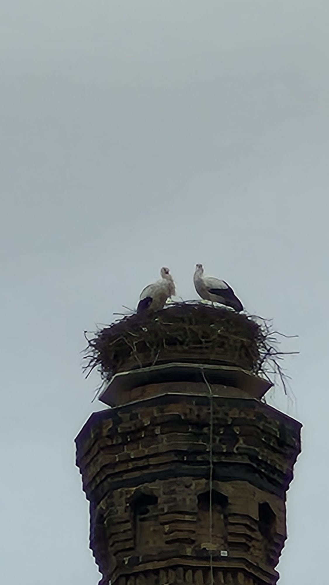 image12