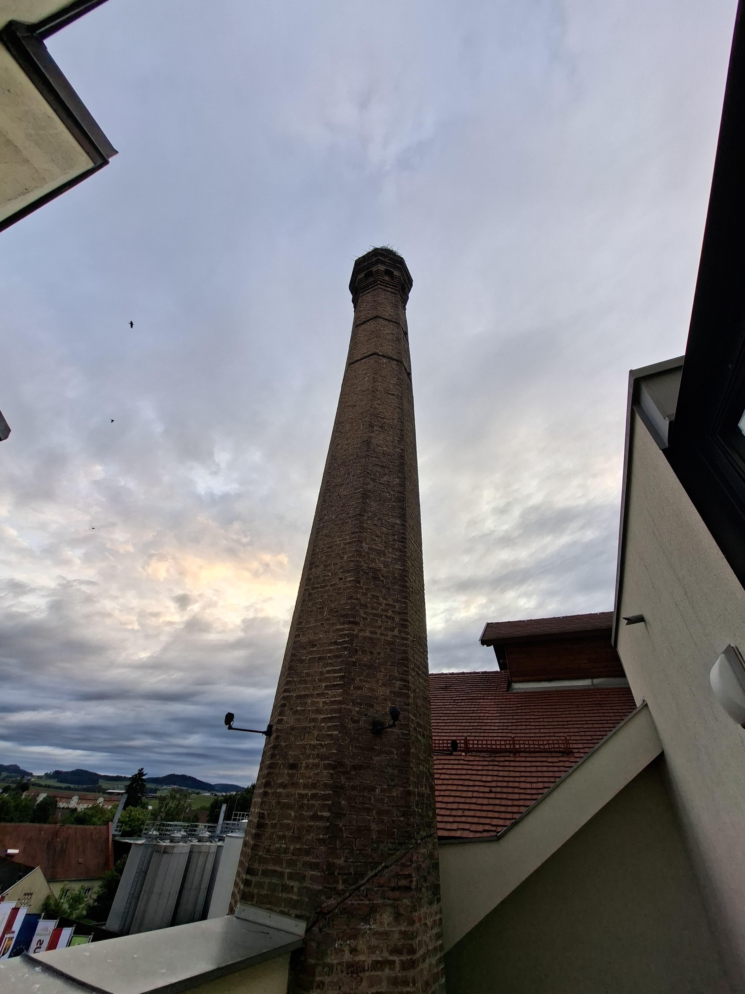 image8