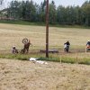 683_img_5815_1920