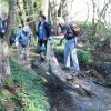 Flurreinigung 13.4.2018